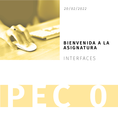 PEC0: Interfaces