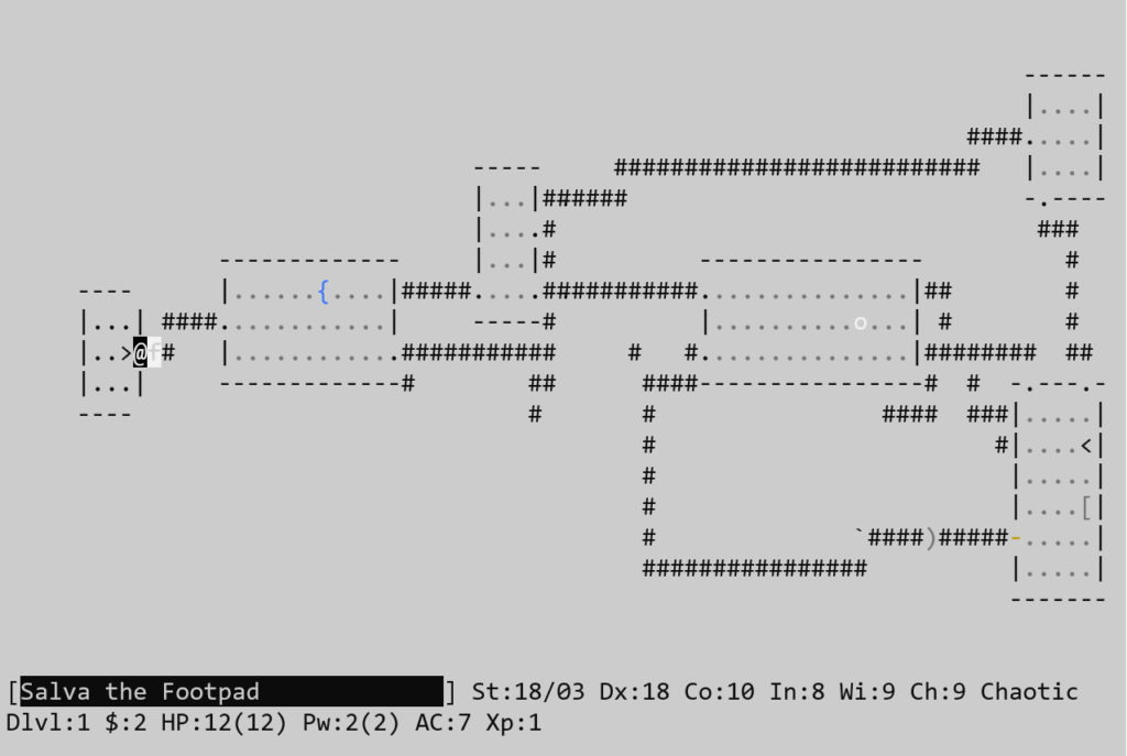 The NetHack game screen